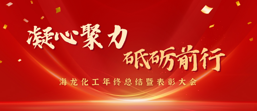 表彰 | 凝心聚力，砥礪前行，海龍化工年終總結(jié)暨表彰大會圓滿舉行