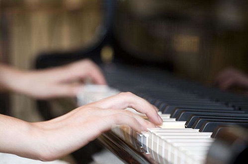 招生1對1免費(fèi)預(yù)約鋼琴試聽課
